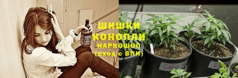 Бошки марихуана SATIVA & INDICA  как найти   hydra как зайти  Бобров 